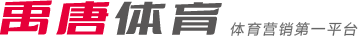 實力